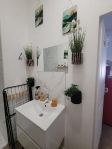 a bathroom with a white sink and potted plants at Le plein centre rez de chaussee au cœur de Calais in Calais +56 photos