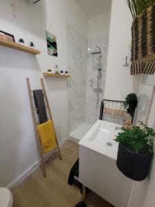 a bathroom with a white sink and a shower at Le plein centre rez de chaussee au cœur de Calais in Calais