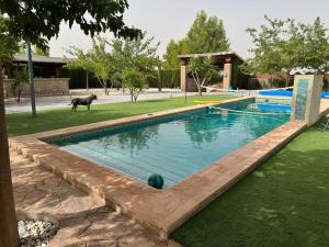 ein Swimmingpool mit einem Hund, der daneben steht in der Unterkunft Casa Rural Los Peralejos Piscina Privada en Cazorla in Cazorla