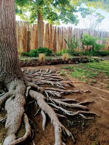 Zahrada ubytování Casa Darragueira de Chacras de Coria