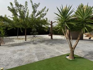 eine kleine Palme, die auf einem Stück Rasen steht in der Unterkunft Casa Rural Los Peralejos Piscina Privada en Cazorla in Cazorla + 12 Fotos