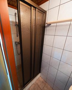 a shower with a glass door in a bathroom at Almhütte am Steirischen Seeberg in Turnau