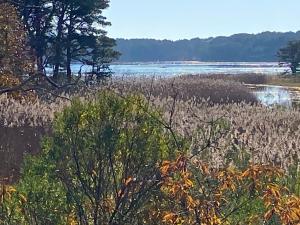 een grasveld met een waterlichaam bij Wellfleet Home in Wellfleet