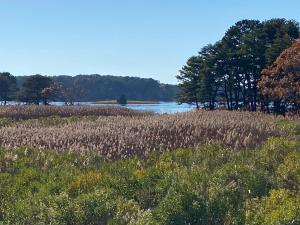 een grasveld met een rivier op de achtergrond bij Wellfleet Home in Wellfleet