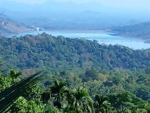 een luchtzicht op een rivier en bomen bij Riverston view hostel in Matale