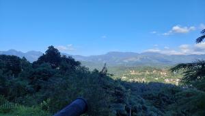 Příroda nedaleko penzionu