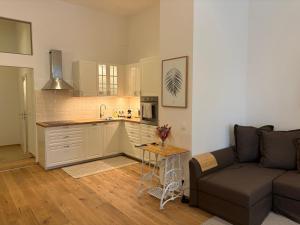 Mitten in der Altstadt und der Thermenregion, neu und ruhig في هارتبرج: غرفة معيشة مع أريكة ومطبخ