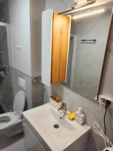 a bathroom with a sink and a toilet and a mirror at Apartman Smaragd in Loznica +8 photos
