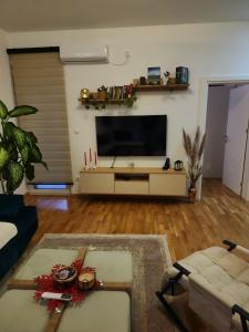 Una televisión o centro de entretenimiento en Apartman Smaragd