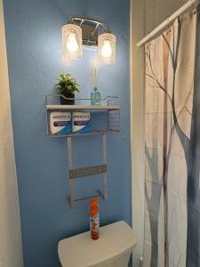 a bathroom with a toilet and a blue wall at Stylish Studio Condo Near Magic Sands Beach in Kailua-Kona