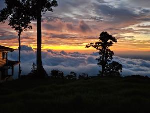 Fotografie z fotogalerie ubytování San Vicente Mountain v destinaci Colón