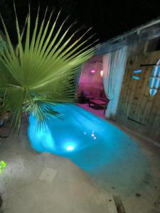 a palm tree next to a blue swimming pool at Mas L'Escale des Dentelles in Aubignan