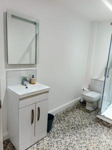 a bathroom with a white sink and a toilet at Modern 1 Bedroom Apt 4 near City Centre Parking in Belfast