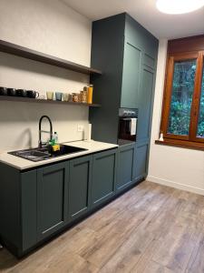 Kuchyň nebo kuchyňský kout v ubytování Best get away in Lugano