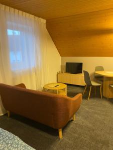 a living room with a couch and a television at Apartmány U Dvořáků in Janske Lazne