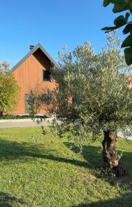 Fotografie z fotogalerie ubytování Nova Drina v destinaci Ljubovija + 35 fotografií