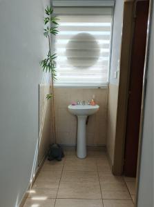 baño con lavabo y ventana con planta en GR Hotel, en La Rioja