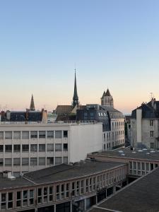 uitzicht op een stad met gebouwen en daken bij Nid douillet sous les toits bourguignons in Dijon