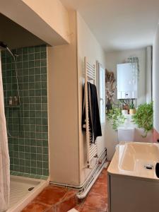 een badkamer met een wastafel en een douche bij Nid douillet sous les toits bourguignons in Dijon