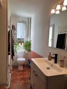 een badkamer met een toilet, een wastafel en een spiegel bij Nid douillet sous les toits bourguignons in Dijon +10 foto's