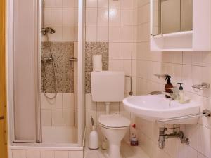 Un baño con inodoro, lavabo y ducha. en Ferienhaus am Fluss, en Pinsdorf