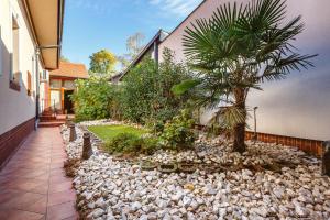 a garden with a palm tree next to a house at Old Town Treasure Apartments in Debrecen