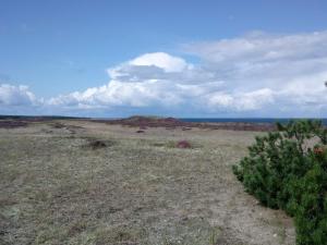 Příroda nedaleko prázdninového domu + 29 fotografií