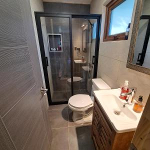 ein Badezimmer mit Dusche, Toilette und Waschbecken in der Unterkunft Refugio en Los Arrayanes in Valdivia