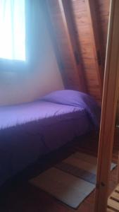 Fotografie z fotogalerie ubytování La Filomena v destinaci Chascomús