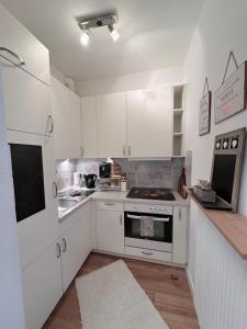 Kuchyň nebo kuchyňský kout v ubytování Chiemsee-Perle, stylisches Luxus-Appartement + 11 fotografií