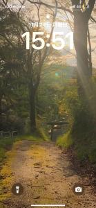 une affiche représentant un chemin de terre en forêt dans l'établissement 民宿とまとハウスTomato House, à Funehiki