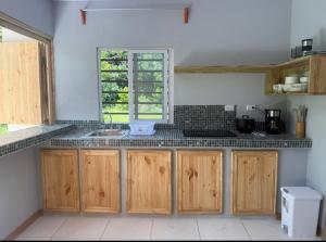 a kitchen with wooden cabinets and a sink and a window at Casita colibri in Savegre