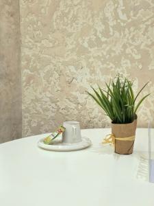 新帕扎尔Dior Apartment Novi Pazar - Luxury Jacuzzi Suite的一张白色桌子上放着一个杯子和一盆植物。 更多15张照片