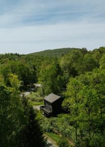 Fotografie z fotogalerie ubytování The Black Bear Cottage with tiny house & hot tub v destinaci Livingston Manor + 34 fotografií
