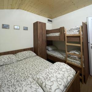 1 Schlafzimmer mit 2 Etagenbetten und einer Leiter in der Unterkunft Planinska kuca ANDJELA 2 in Mitrovac