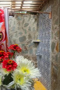 Fotografie z fotogalerie ubytování EL GALLO ECOLODGE v destinaci San Felipe de Puerto Plata + 39 fotografií