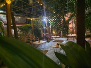 Zahrada ubytování Neon Chameleon