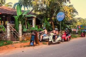 Hosté ubytování Neon Chameleon