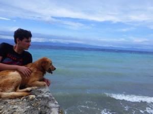 Κατοικίδιο ή κατοικίδια επισκεπτών που μένουν στο Rio Beach Resort +1 φωτογραφίες