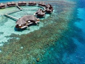 曼度V Villas Maldives at Mirihi - MGallery Collection的水上度假村的鸟瞰图