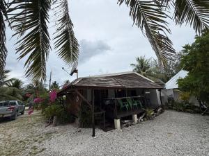 a small house on the beach with a palm tree at Chez Aroro Beach House in Avatoru