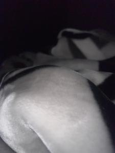 Φωτογραφία από το άλμπουμ του The home σε Hallam