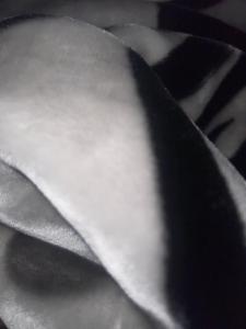 Φωτογραφία από το άλμπουμ του The home σε Hallam