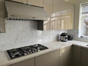 里士满Two Bedrooms for up to Four Guests的厨房配有炉灶烤箱 更多4张照片