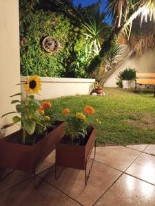 Κήπος έξω από το Con alma de Paraná