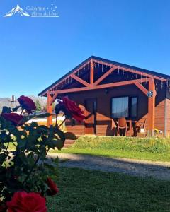 a log cabin with a view of the front of it at Cabañas Alma del Sur in El Hoyo