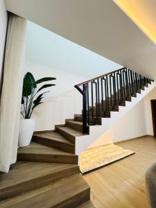 a staircase in a house with a potted plant at Gabika Suites in Trofwi