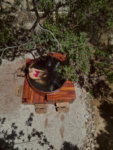 an overhead view of a wooden bench with a bird in it at Chales Estrela Veadeiros Com Ofurô in Alto Paraíso de Goiás