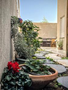 a garden with potted plants on a patio at Up the Hill in Tiberias +24 photos