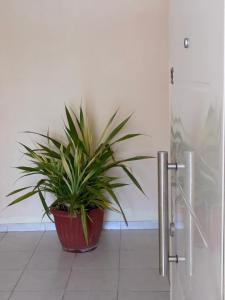 Φωτογραφία από το άλμπουμ του El Cerro σε Posadas